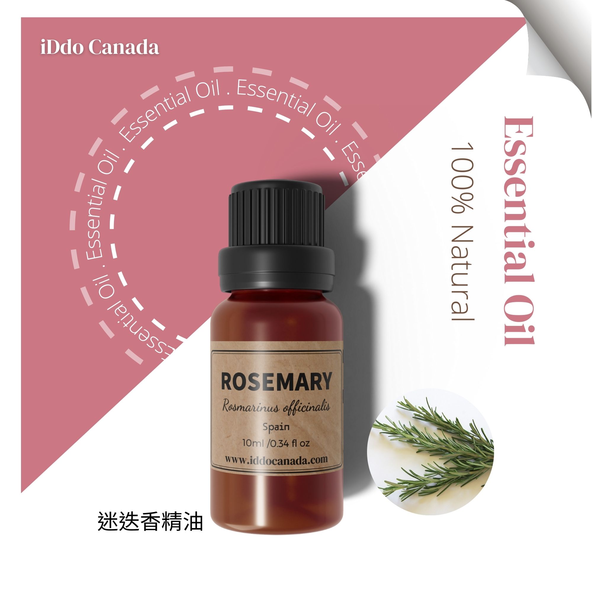 芳療師嚴選 單方精油-迷迭香10ml