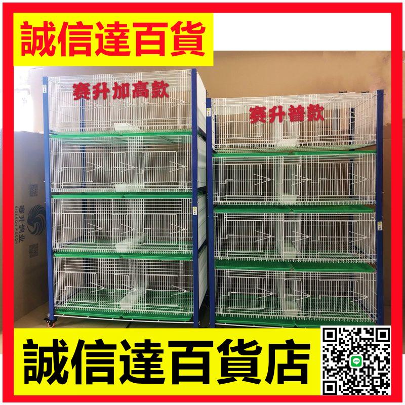 臺式折疊鴿子繁殖巢箱臺灣賽升加粗加高信鴿觀察 配對籠展示