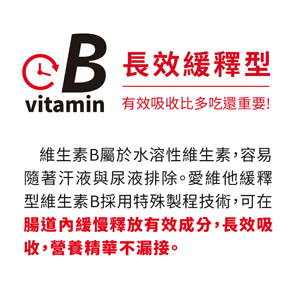 LOVITA 愛維他 緩釋型維他命B2素食錠*1瓶 100mg 2