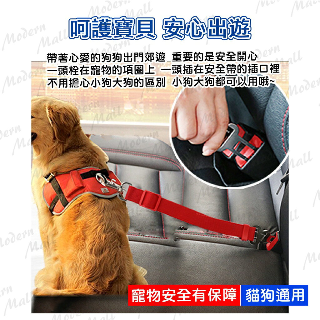 寵物安全帶【狗狗安全守護神💎台灣現貨】狗狗安全帶 寵物車用 貓咪牽繩 寵物外出 寵物牽繩 狗狗牽繩 牽繩 1