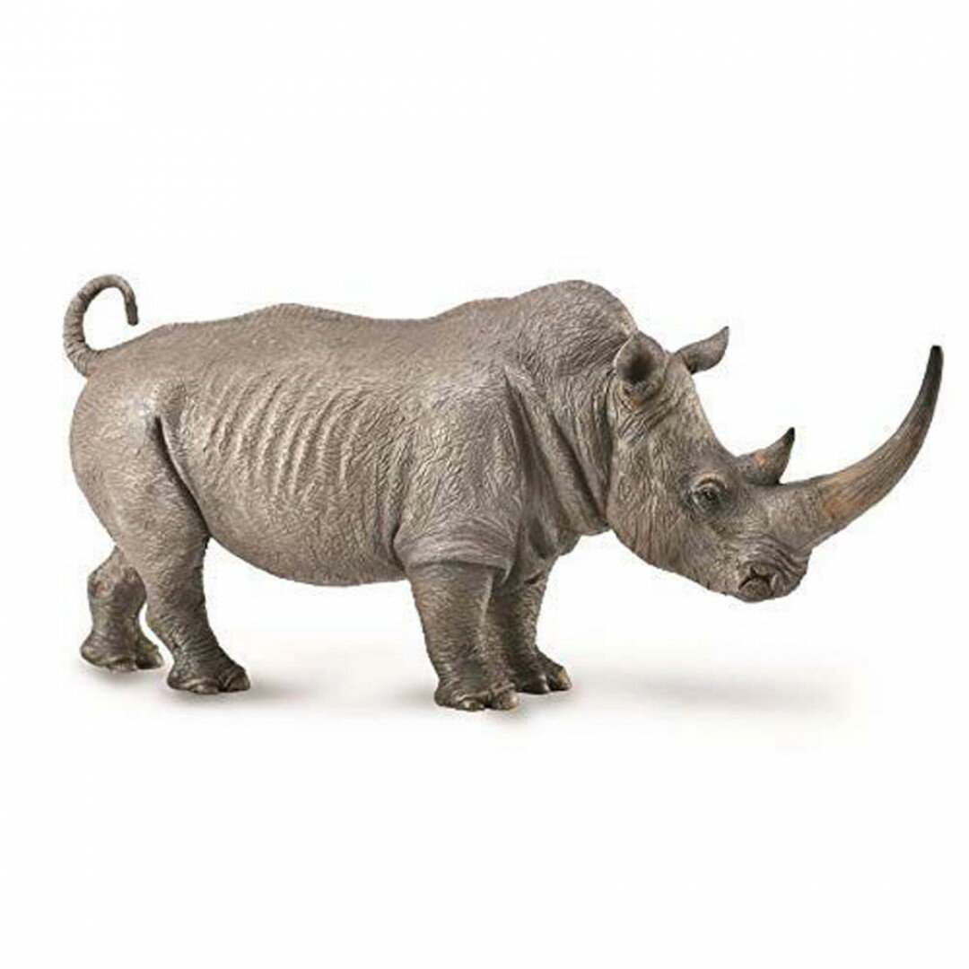 動物模型【 COLLECTA 】犀牛