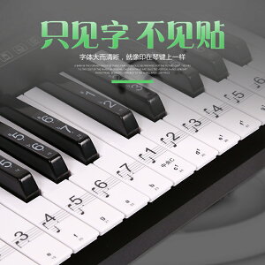 鍵琴貼 音符鍵位貼 鋼琴電子琴鍵盤貼紙透明音標簡譜88鍵61 54鍵自學考級自學五線譜『cyd12648』