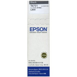 【史代新文具】愛普生EPSON T673100 原廠黑色墨水匣 (L800)