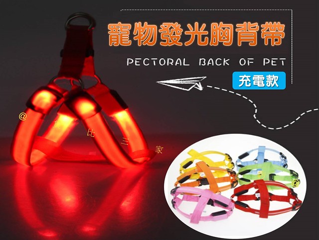 寵物發光胸背帶 防走丟 牽引胸背帶 毛小孩 夜間散步 耐磨 H型胸背帶 大型犬 寵物項圈 遛狗牽繩 反光 不易斷裂 扣