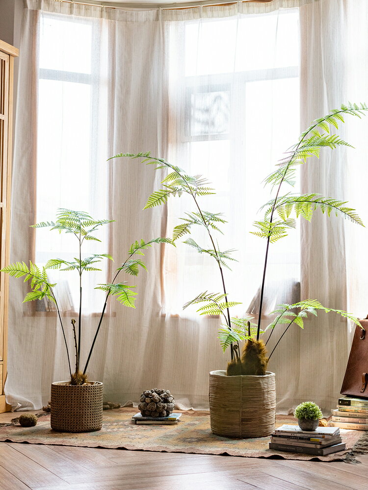 掬涵模擬大型蕨葉樹金絲猴蕨綠植盆景客廳室內櫥窗裝飾品植物擺件