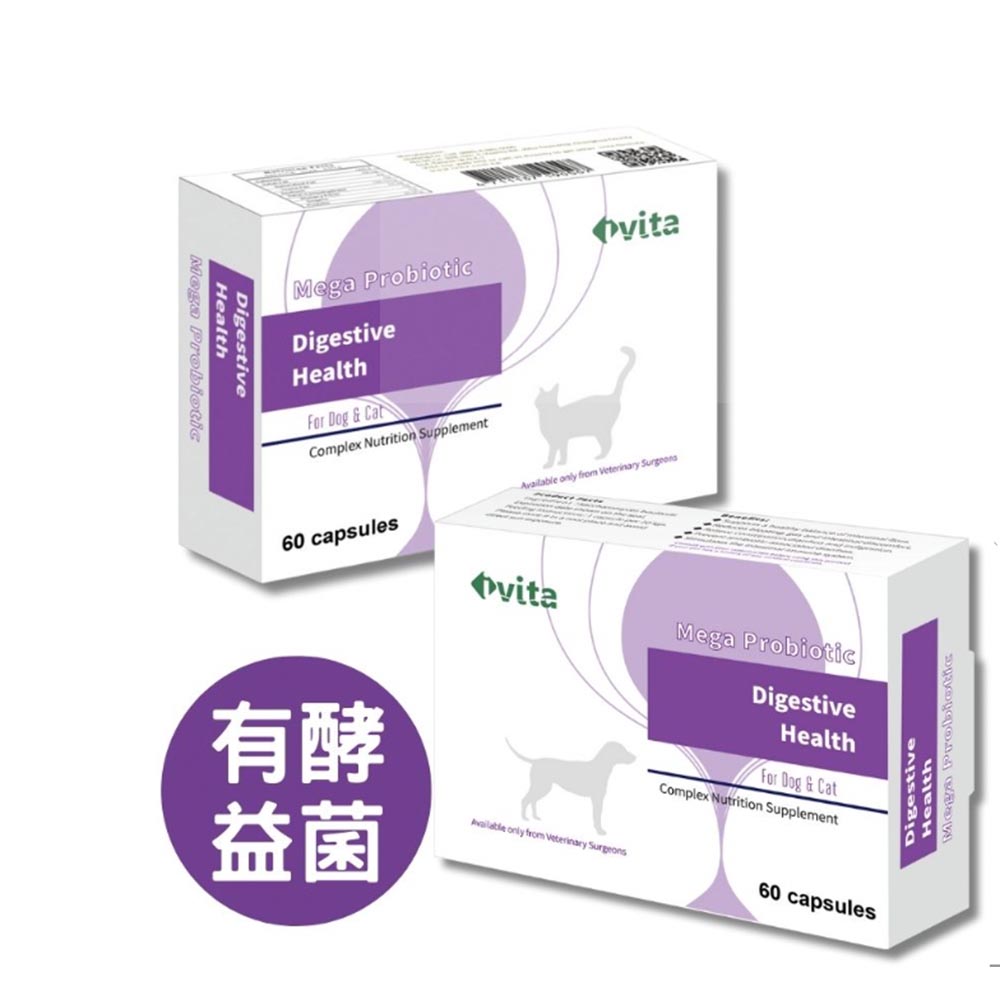 [免運]ivita虎揚 Digestive Health常樂 -60粒 含布拉酵母菌 似腸保寶.益生菌動物醫院專賣 2