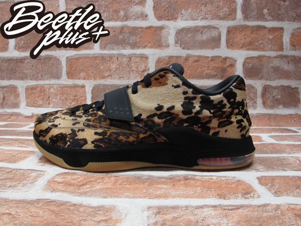 kd 7 longhorn