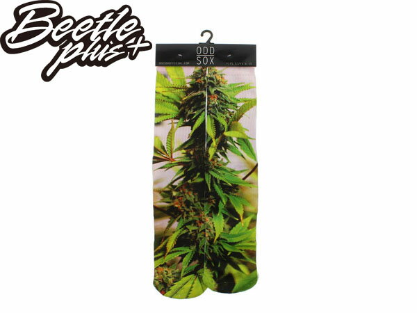 BEETLE PLUS 西門町 美國品牌 全新 現貨 ODD SOX THE SATIVA PLANT SOCKS 大麻 水稻 植物 高筒襪 MN-238