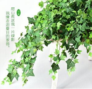 仿真爬山虎壁掛裝飾植物假花藤條藤蔓綠植塑料花吊蘭吊籃垂吊室內