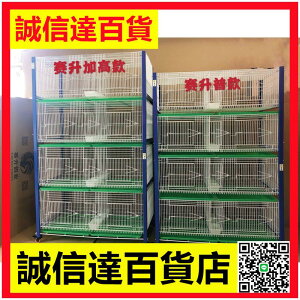 鴿子臺式繁殖巢箱臺灣賽升加粗加高信鴿觀察 配對籠展示二層
