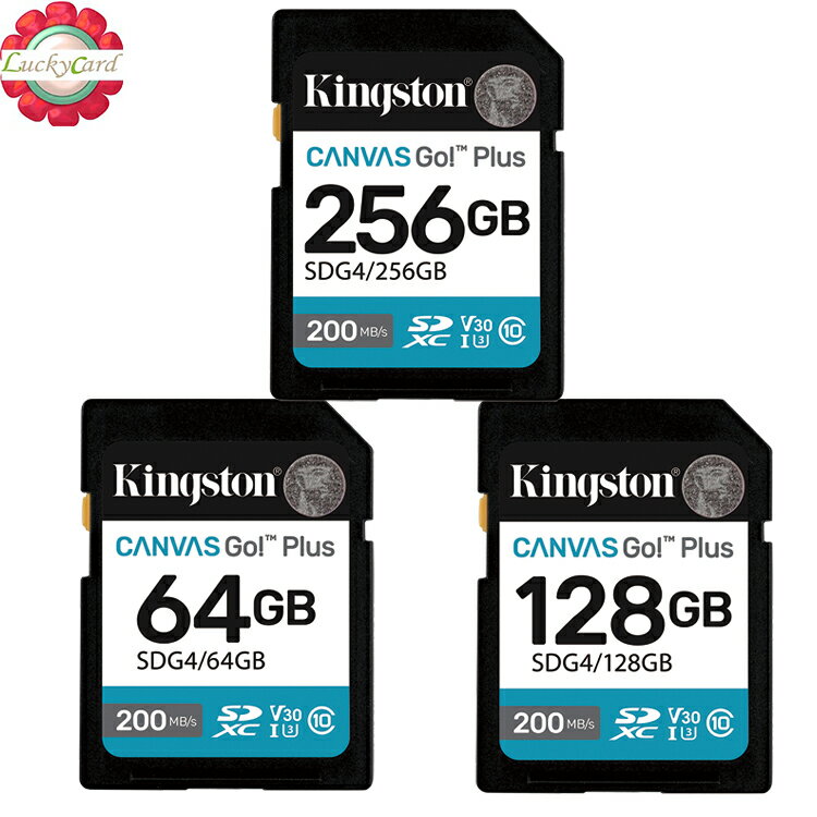 KINGSTON 64GB 128GB 256GB SD SDHC SDG4 200MB/s V30 4K 金士頓｜滿額領券最高現折$220