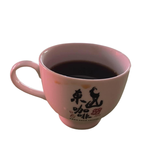 台南東山濾泡式咖啡(10入/盒)[亮亮農產品]