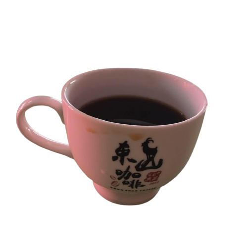 臺南東山濾泡式咖啡(10入/盒)[亮亮農產品]