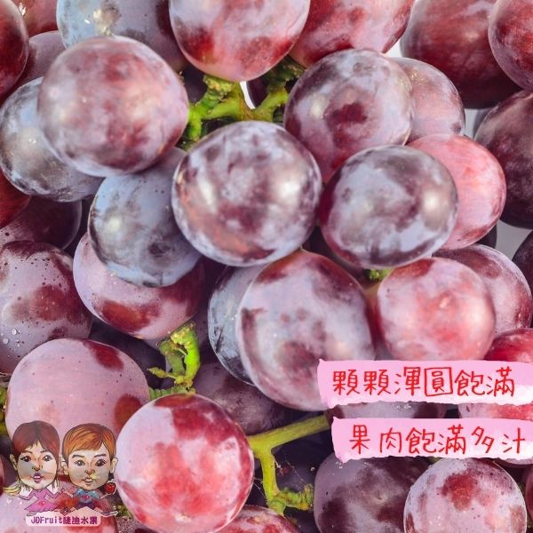 【緁迪水果JDFruit】美國空運養樂多風味紅無籽葡萄(2袋/6袋)【稀有限量品種】 送禮推薦l 緁迪水果 2