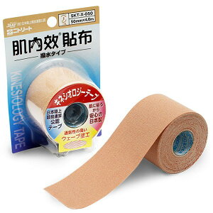 【日東】 肌內效貼布-4.6m 運動膠帶 (肌內效 彈力運動貼布 運動肌貼 彩色貼布)