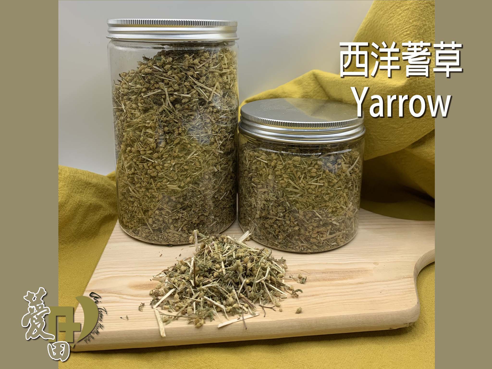 {薆田} 西洋蓍草 Yarrow  乾燥花草 西洋蓍草純露 手工皂用 浸泡油材料 西洋花草茶飲 1