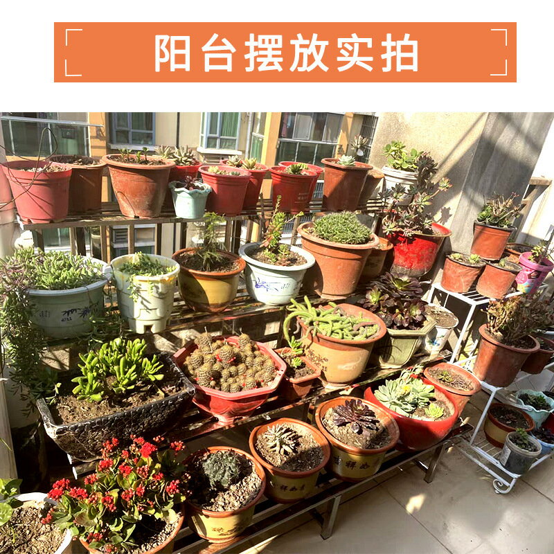 公司貨免運 附發票 庭院陽臺非鐵藝多層階梯放花架子加厚室內外多功能不銹鋼防腐花架-快速出貨