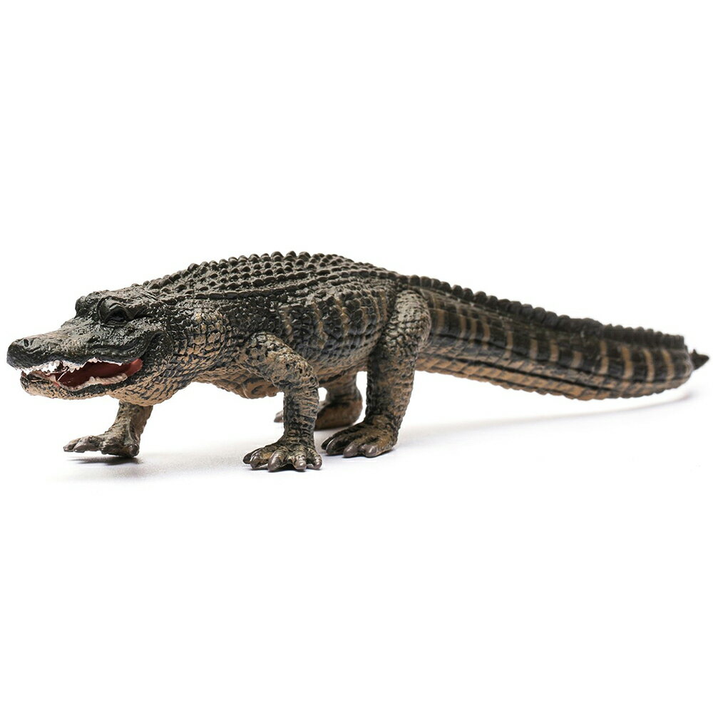 動物模型【 COLLECTA 】美國短吻鱷 東喬精品百貨