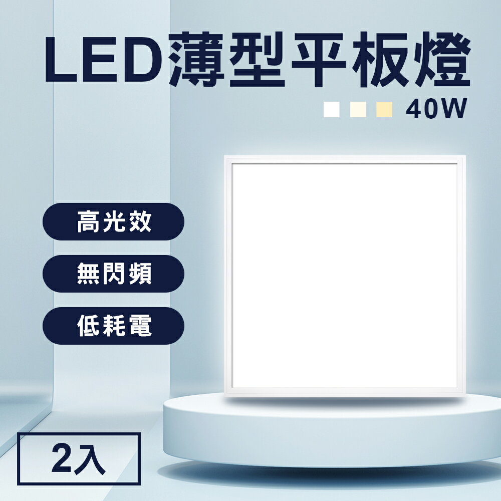 TheLife嚴選 省電LED薄型40W導光板60x60cm 2入(面板燈/輕鋼架燈/天花板燈/平板燈/CNS認證)【MC0234】(SC0043S)