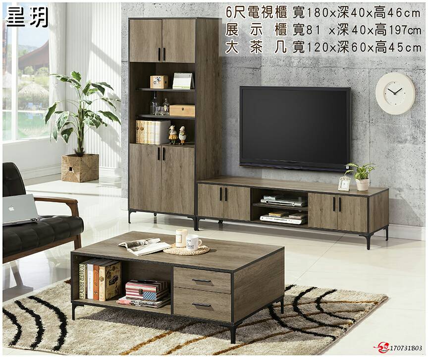 星玥大茶几/W120*D60*H45CM    (桃竹苗區免費運送)