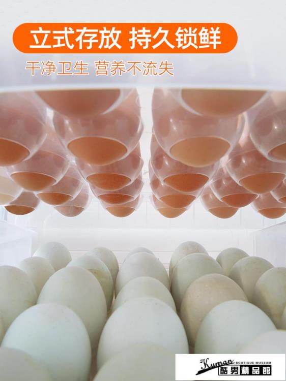【樂天好物】保鮮盒 冰箱雞蛋收納盒廚房冰箱家用保鮮收納盒子餃子盒塑膠抽屜式雞蛋盒