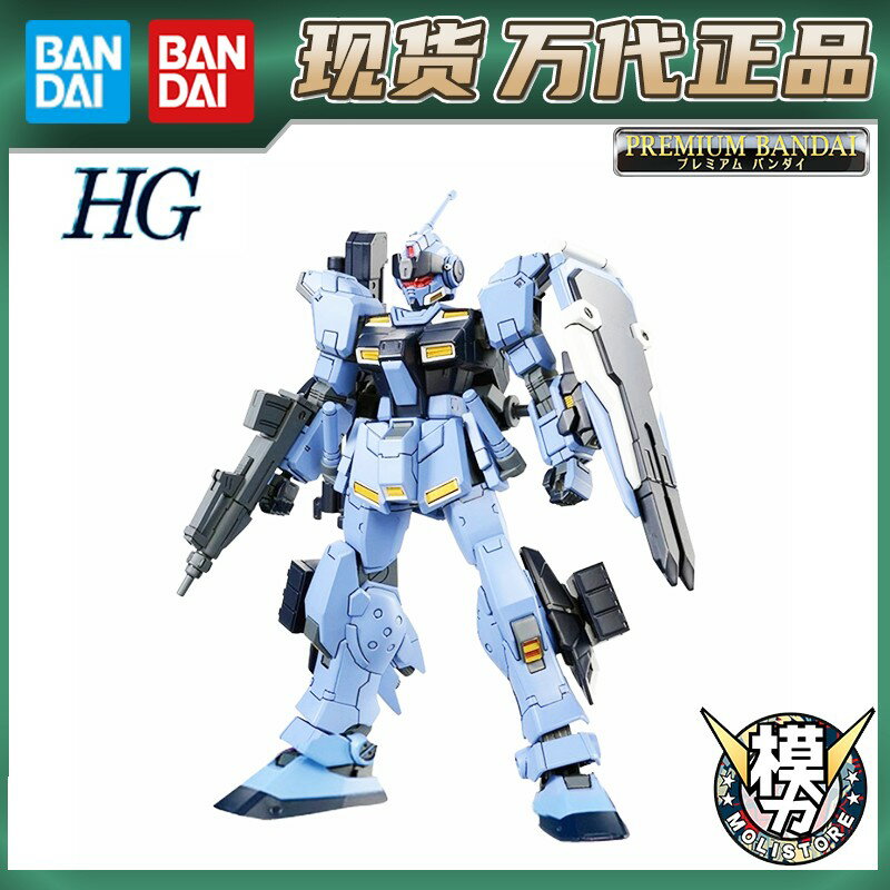 {保固一年 可打統編}PB現貨 萬代高達拼裝模型 1/144HG蒼白騎士 陸戰重裝備版