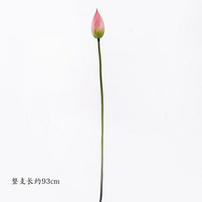 漢服道具花手持荷花模擬蓮花古裝古風拍照拍攝假花荷葉舞臺裝飾