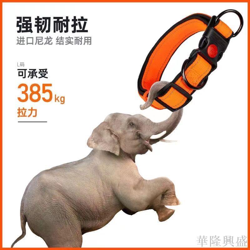 狗狗項圈脖圈小型犬中型犬大型犬反光不勒脖可調節狗牽引繩狗項圈