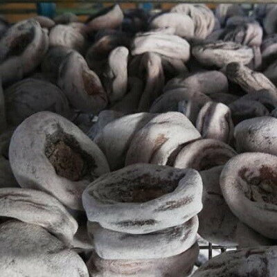 柿子 美食與甜點 21年11月 Rakuten樂天市場 柿子 美食與甜點 21年11月 Rakuten樂天市場