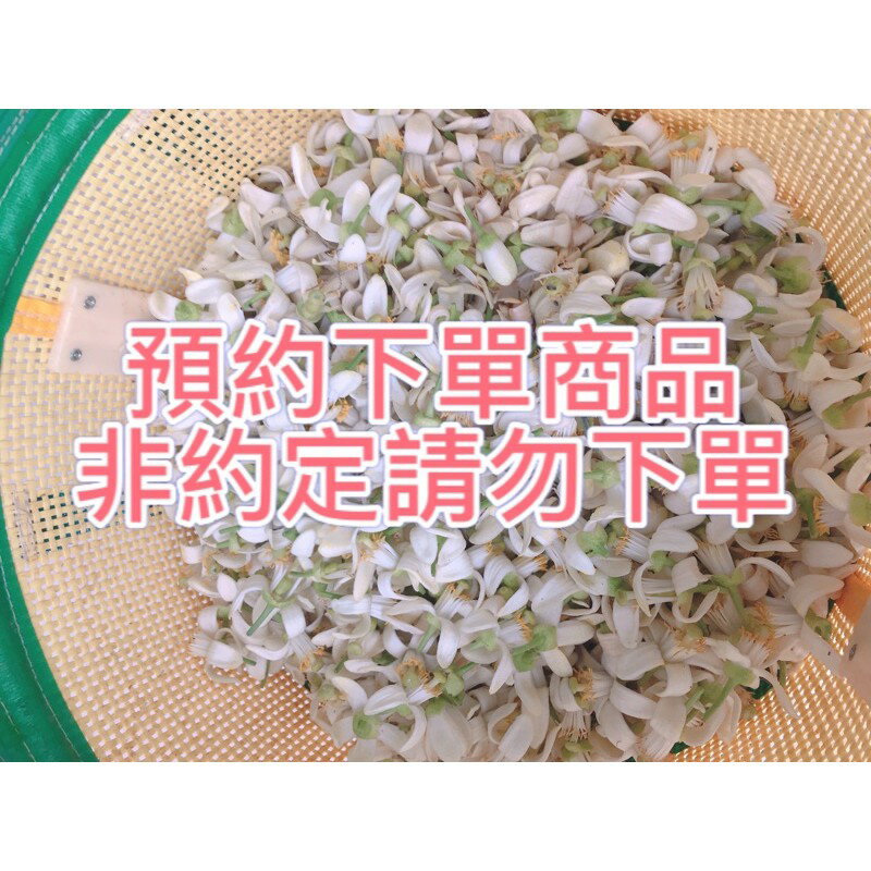 @yamap客人預約下單