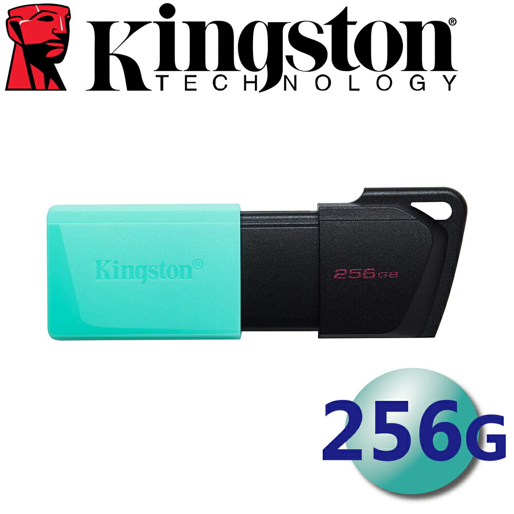 Kingston 金士頓 256GB DTXM DataTraveler Exodia M USB3.2 隨身碟 256G