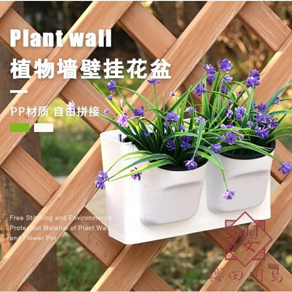 懶人吸水盆掛墻多肉綠蘿培盆栽塑料花盆【櫻田川島】