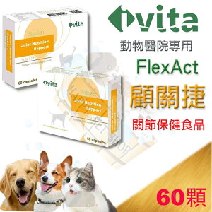 [免運] ivita FlexAct 顧關捷 60粒 寵物關節保健食品～幫助關節靈活性 顧關節