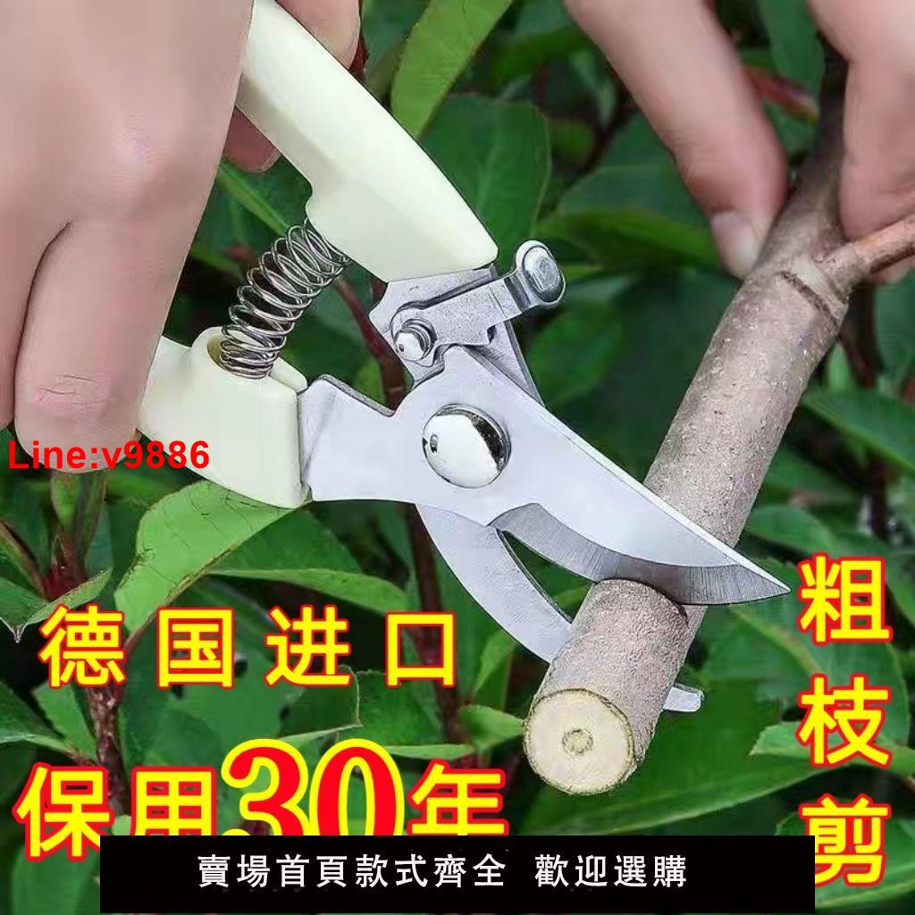 【臺灣公司 超低價】【首單直降】德國進口不銹鋼剪刀剪子果樹剪修枝剪刀家用園藝剪子