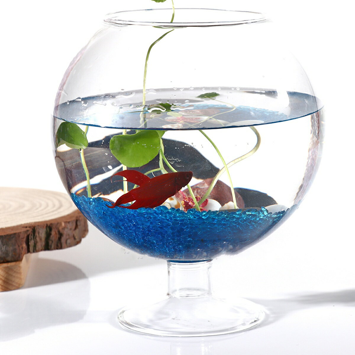 魚缸 玻璃魚缸 花瓶 擺放 桌面水培 鬥魚缸 迷你小型多肉植物 透明水培玻璃花瓶