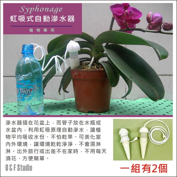 虹吸式自動滲水器 植物澆花器 盆栽種植專用澆花器 1組2個 花盆 肥料【居家達人-A177】