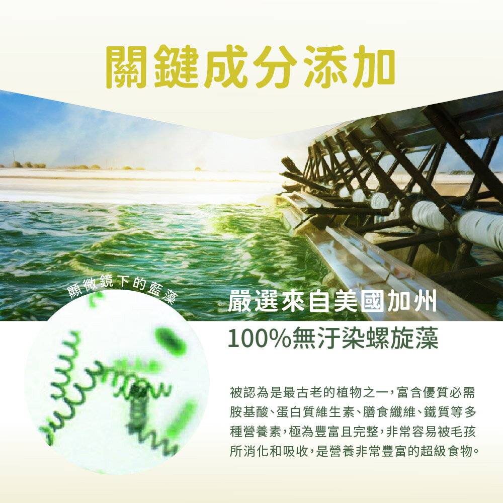 金牌鏟屎官 藍藻益生菌膠囊-天然全方位營養補充 30粒／瓶 貓咪 狗狗 3