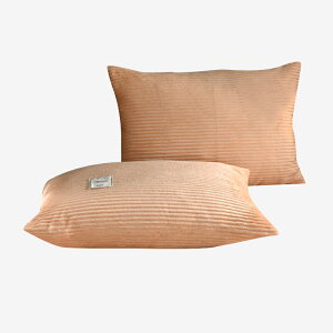 春秋珊瑚絨枕套雙面魔法絨枕芯套加厚保暖單人法萊絨枕頭套一對裝