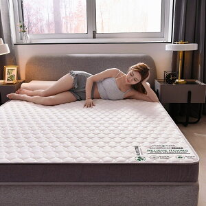 床墊 不塌陷高支撐硬質棉床墊 驅蚊可摺叠床墊 610cm厚單人雙人雙人加大床墊 乳膠床墊 記憶床墊