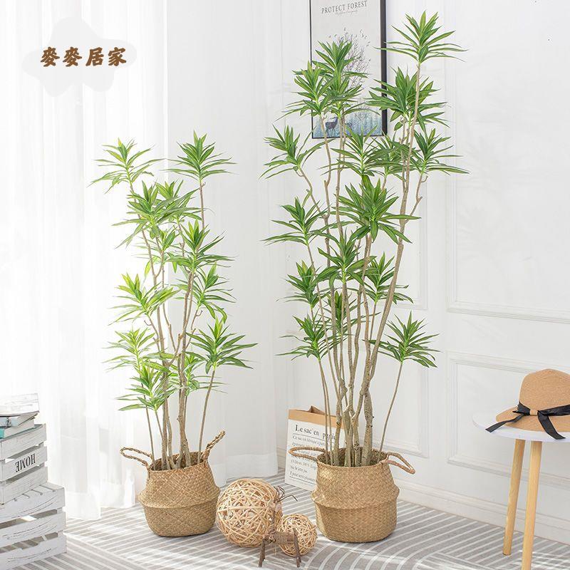 模擬綠植 百合竹假植物龍血樹大型盆栽擺件客廳高檔假花仿真花裝飾[DD0329003]