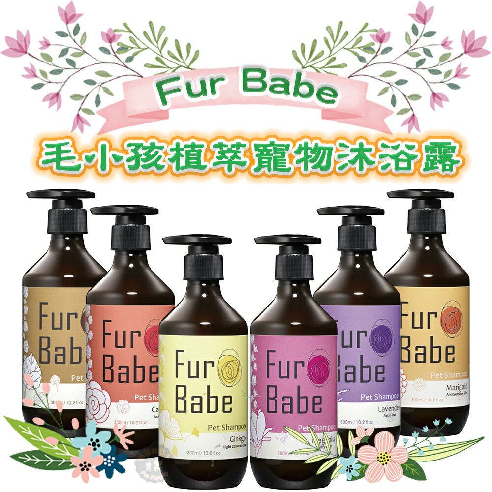 FurBabe毛小孩【植萃寵物沐浴露】 貓咪洗毛精 犬用沐浴乳犬貓通用洗毛精/天然香精/除臭護膚驅蚤抗菌蓬鬆抗敏感順毛