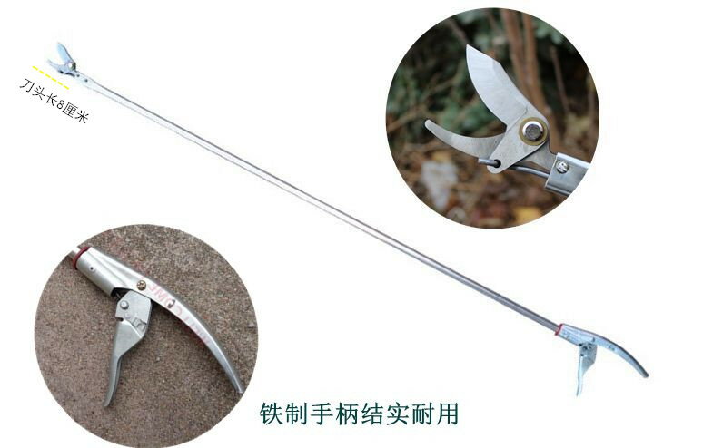 修枝剪 園藝剪刀 花藝剪 加長桿高枝剪修枝剪可伸縮剪刀樹枝剪園林果樹剪高空剪鋸花剪長柄『ZW00188』 2