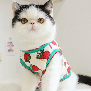 可愛小奶猫咪衣服 小草莓薄绒背心 秋冬加绒保暖寵物衣