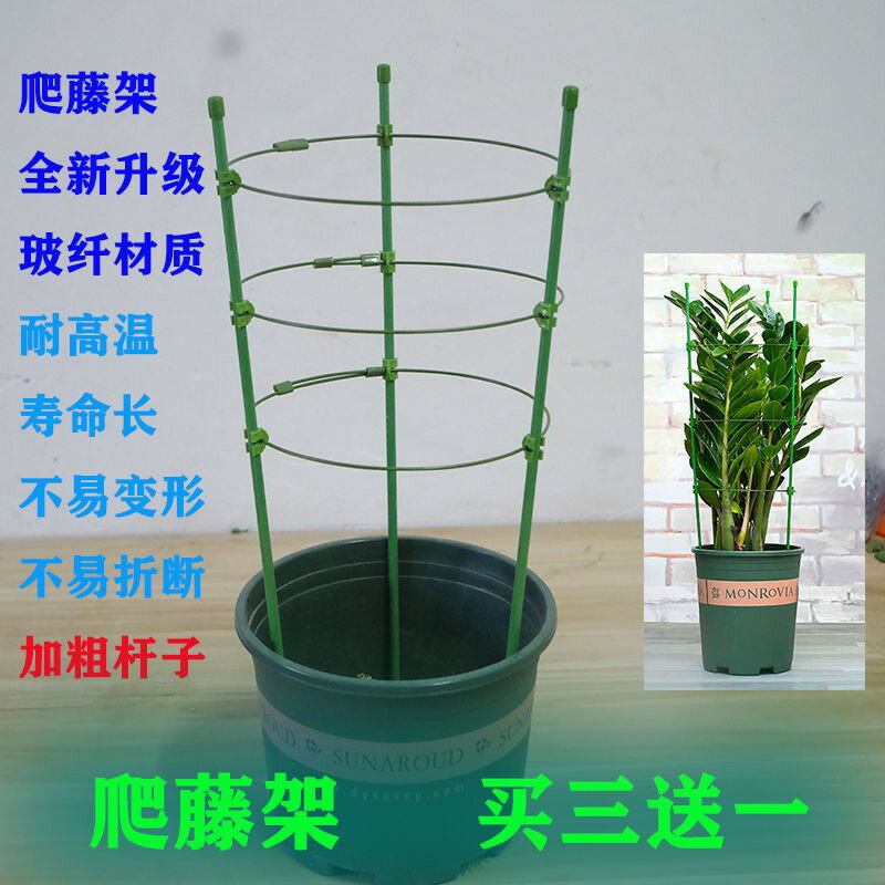 爬藤花架園藝支柱架陽臺綠蘿月季鐵線蓮藤本花卉植物攀爬花支架