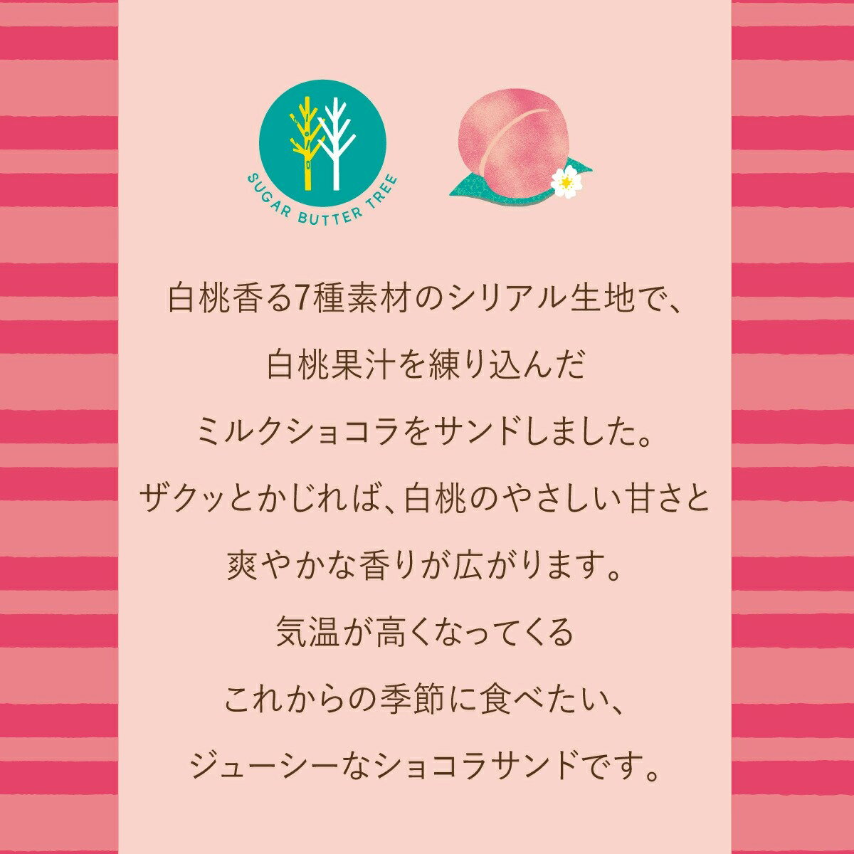 砂糖奶油樹 綜合餅乾(原味、白桃) 21包入 東京特產 Sugar Butter Tree 砂糖奶油樹 穀物 巧克力 菓子 綜合 禮品 點心 甜點 人氣 特產 混裝 日本必買 | 日本樂天熱銷 6