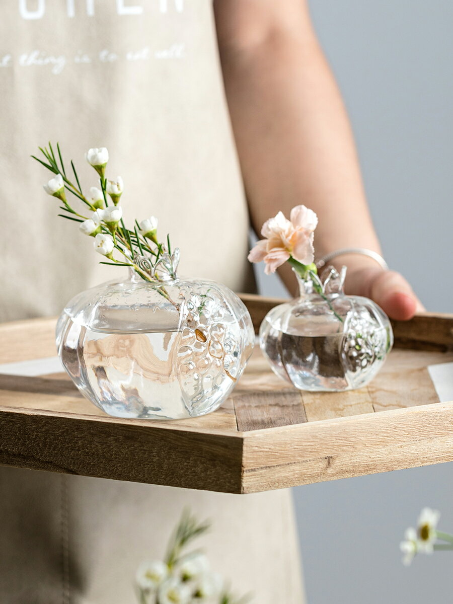花瓶擺件客廳插花玻璃ins風輕奢新款小花瓶高級感透明水養