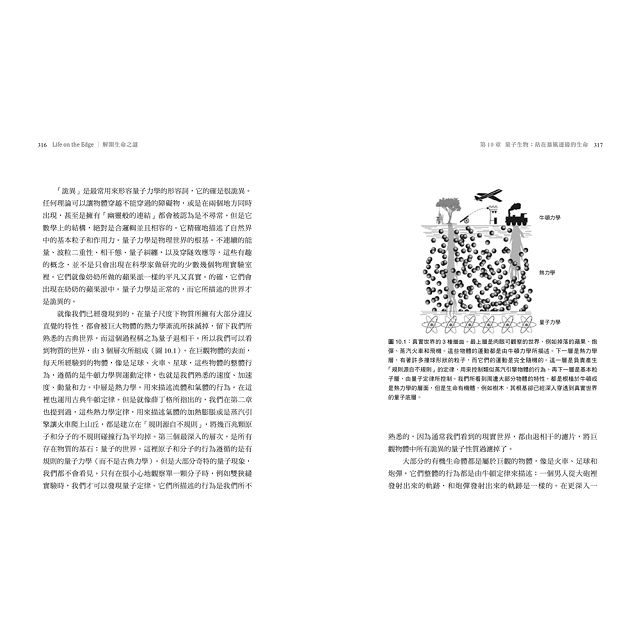 解開生命之謎：運用量子生物學，揭開生命起源與真相的前衛科學 8