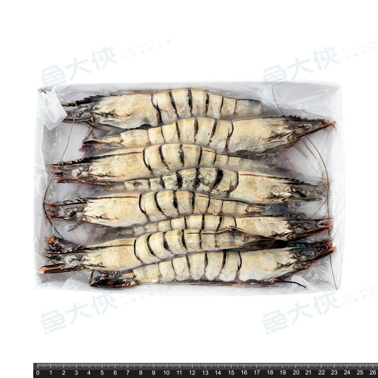 野生海草蝦 8P裝(實重420g/8尾/盒)#420-1D3B【魚大俠】SP152