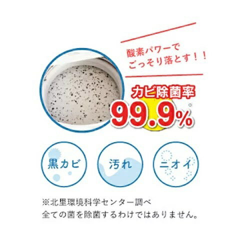 日本 玉石鹼Shabon 洗衣槽專用 清潔粉500g 洗衣機槽清潔 洗衣槽粉【領券滿額再折千12/31止】 3