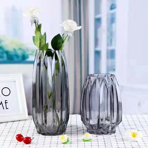 北歐客廳創意簡約透明花瓶 干花插花水培綠蘿植物玻璃瓶家用擺件